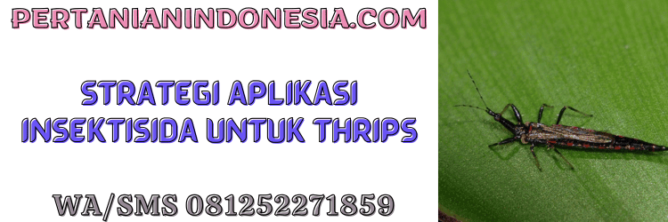 strategi,aplikasi,pestisida,serangga,pertanian indonesia
